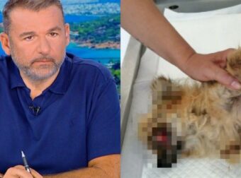 Προσοχή σκληρές εικόνες: Γνωστός μουσικοσυνθέτης κατηγορείται για κακοποίηση και παραμέληση ζώου – Ποιος είναι;