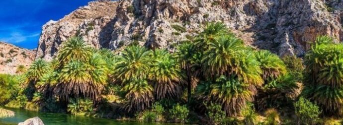 Αυτές είναι οι 10 παραλίες της Κρήτης που «σαρώνουν» στο Google