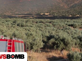 Φωτιά Βοιωτία: Γιατί καίγεται ο τόπος  και δεν σηκώνεται ούτε ένα εναέριό; Τι απαντά η πυροσβεστική