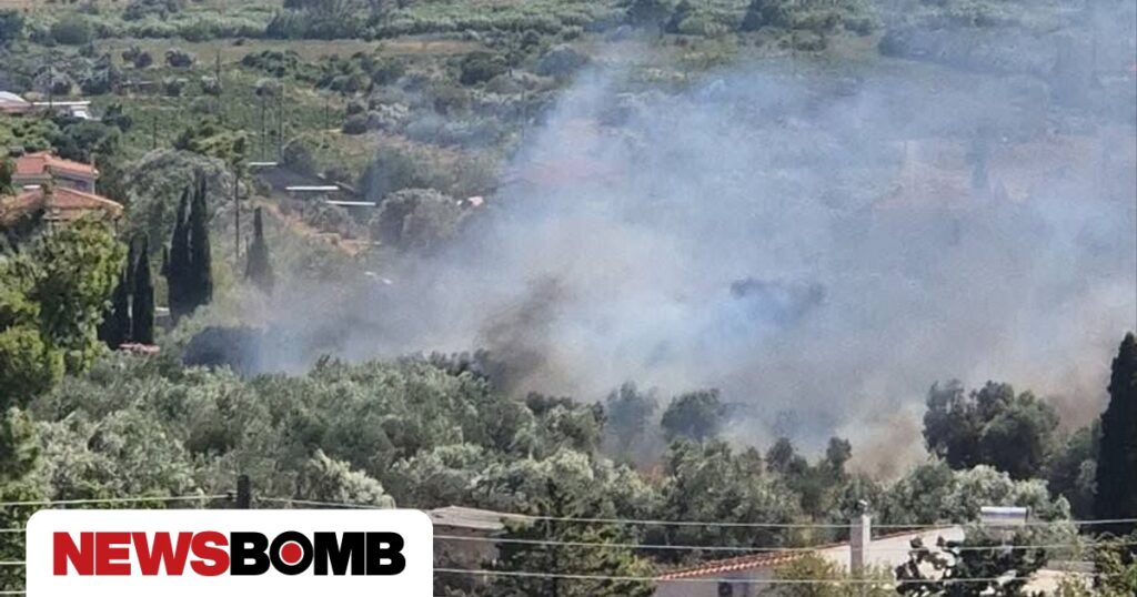 Φωτιά τώρα στα Σπάτα – Μεγάλη κινητοποίηση της Πυροσβεστικής, ήχησε το «112» για ετοιμότητα