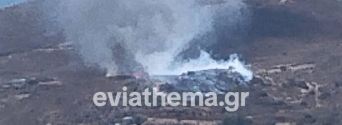 Φωτιά τώρα στην Κάρυστο: Ενισχύθηκαν οι πυροσβεστικές δυνάμεις – Μηνύματα του 112 για εκκενώσεις